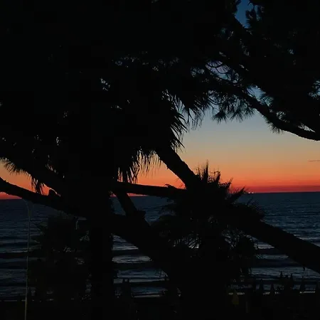 Apartman Mali I Robit Beachfront *