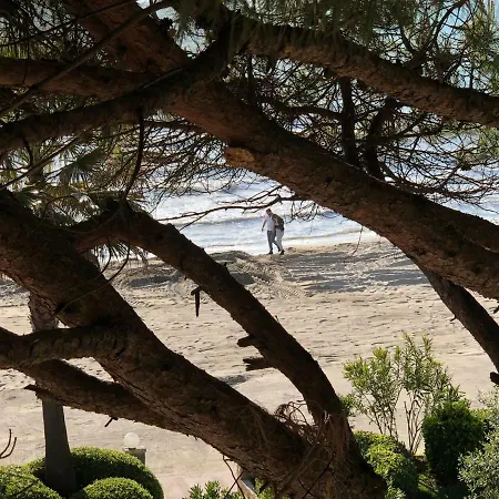 Apartman Mali I Robit Beachfront Golem